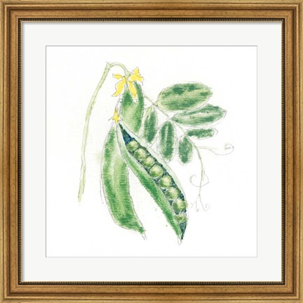 Framed Garden Delight XI Print