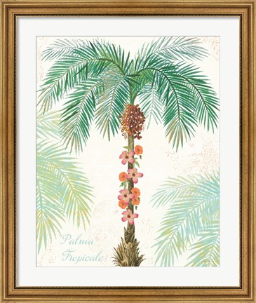 Framed Flamingo Tropicale III Print