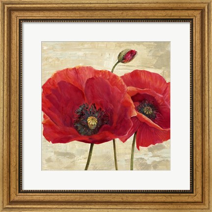 Framed Red Poppies (detail II) Print