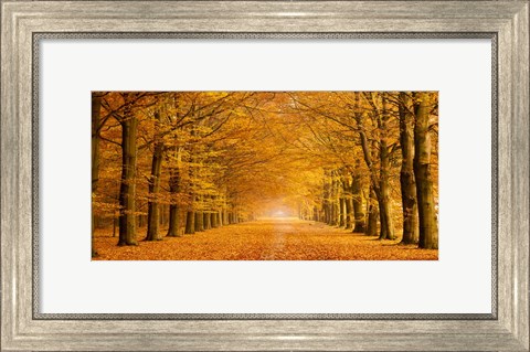 Framed Woods in Autumn Print