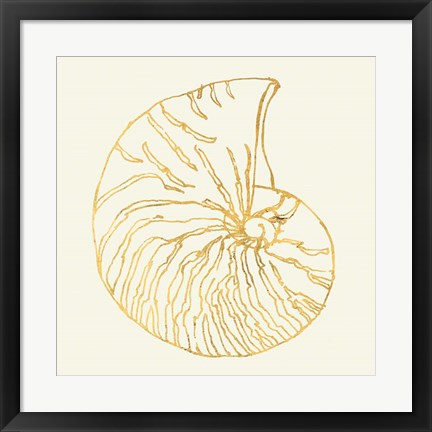 Framed Coastal Breeze Shell Sketches VII Print