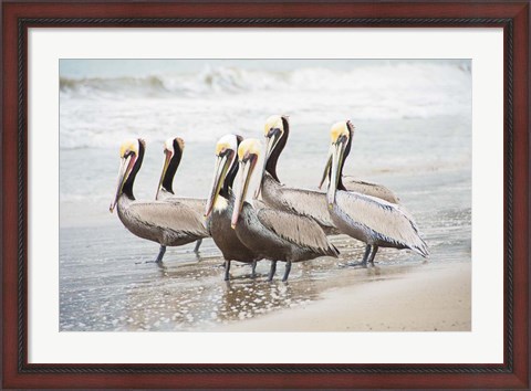 Framed Pacific Cool IV Print