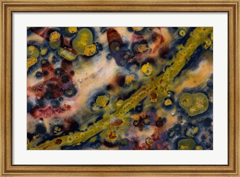 Framed Ocean Jasper from Madagascar 5 Print