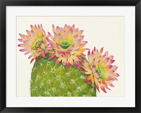 Framed Desert Blossoms I Print