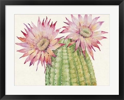 Framed Desert Blossoms II Print