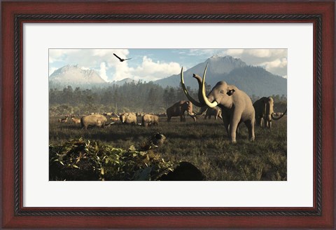 Framed Columbian Mammoths And Bison Roam The Ancient Plains Of North America Print