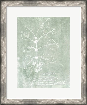 Framed Essential Botanicals I Print