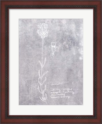 Framed Essential Botanicals II Print