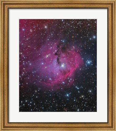 Framed VDB 93 is an emission and reflection Nebula in Canis Major Print