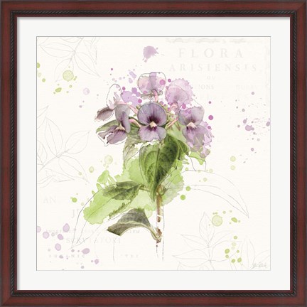 Framed Floral Splash III Print