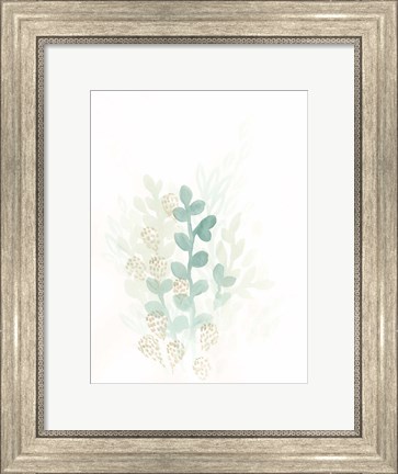 Framed Sprout Flowers II Print