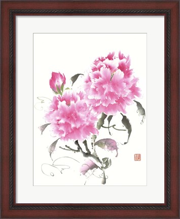 Framed Peonie Blossoms II Print