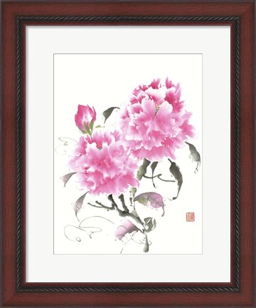 Framed Peonie Blossoms II Print