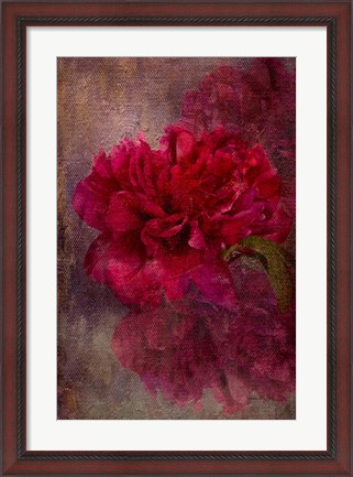 Framed Tapestry Rose Print