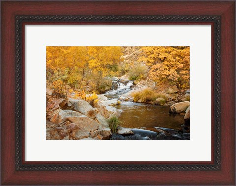 Framed Fall Creek Print