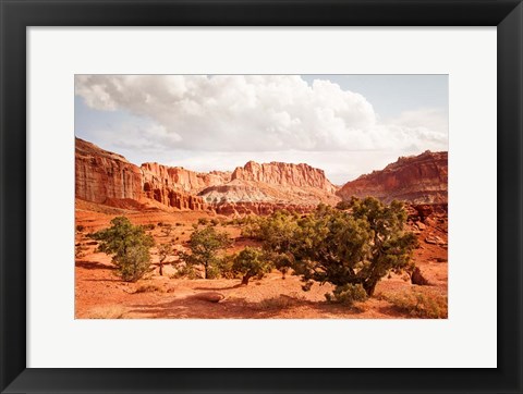 Framed Capital Reef Utah Print