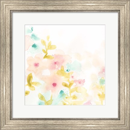 Framed Petal Field II Print