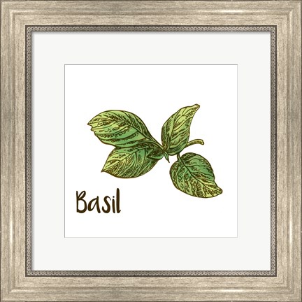 Framed Basil Print