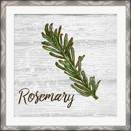 Framed Rosemary on Wood Print