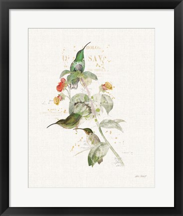 Framed Colorful Hummingbirds III Print