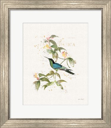 Framed Colorful Hummingbirds IV Print