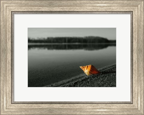 Framed Pop of Color Orange Shell Print