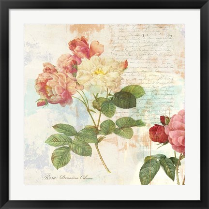 Framed Redoute&#39;s Roses 2.0 I Print