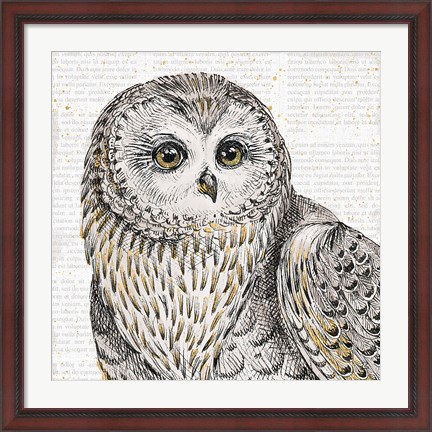 Framed Beautiful Owls II Print