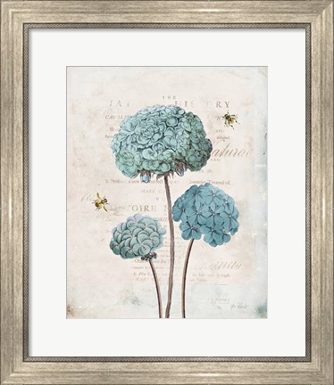 Framed Geranium Study I Print