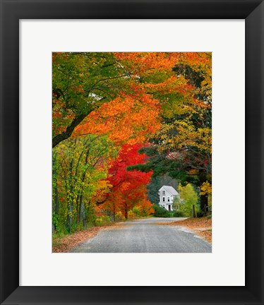 Framed Road lined in fall color, Andover, New England, New Hampshire Print