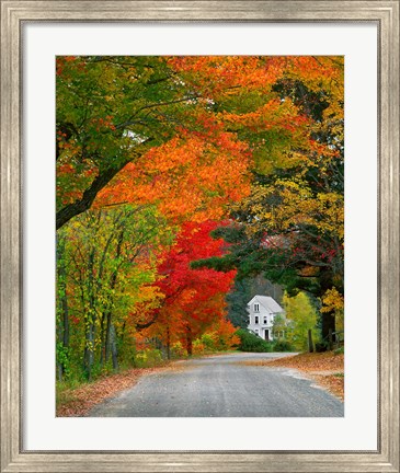 Framed Road lined in fall color, Andover, New England, New Hampshire Print