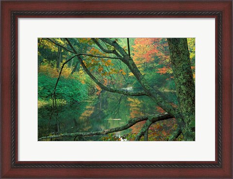 Framed Fall Along the Lamprey River in Durham, New Hampshire Print