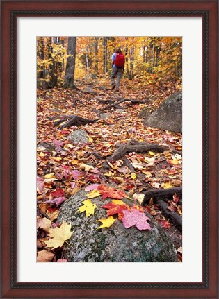 Framed Hiking Sugarloaf Trail, White Mountain National Forest, Twin Mountain, New Hampshire Print