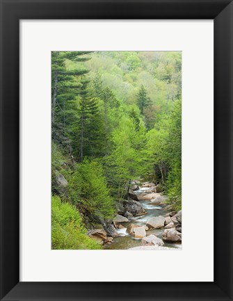 Framed Spring on the Pemigewasset River, Flume Gorge, Franconia Notch State Park, New Hampshire Print