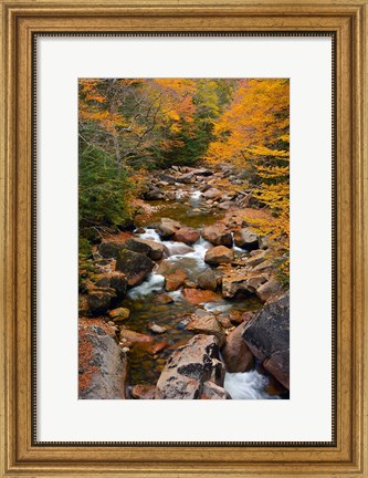 Framed Liberty Gorge, Franconia Notch State Park, New Hampshire Print