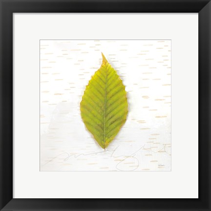 Framed Autumn Colors IV Print