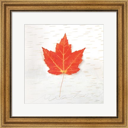 Framed Autumn Colors I Print