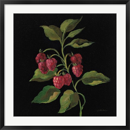 Framed Framboise no Words Print