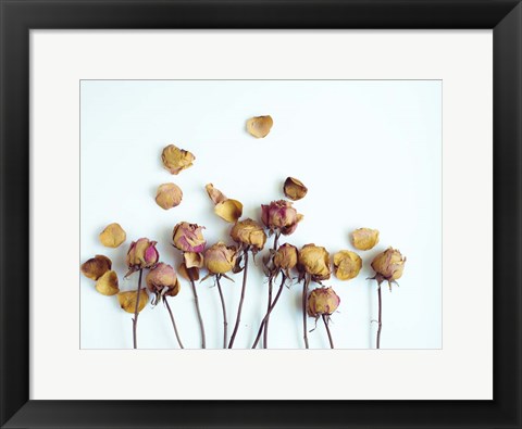 Framed Golden Petals II Print