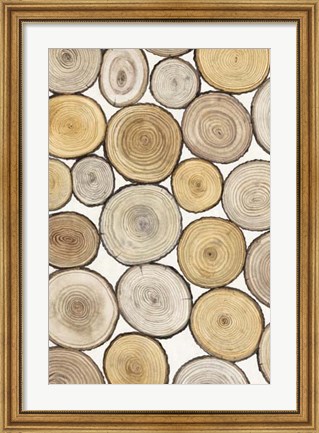 Framed Tree Ring Study I Print