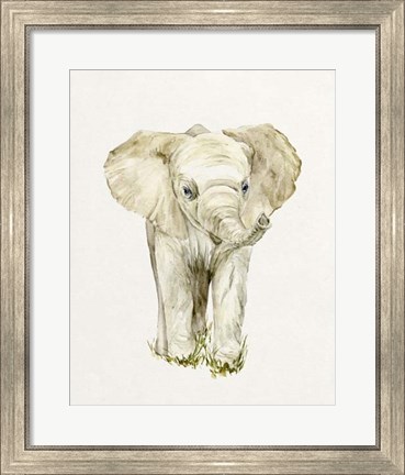 Framed Baby Elephant II Print