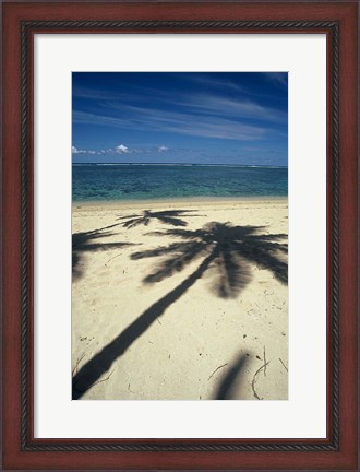 Framed Shadow of Palm Trees on Beach, Coral Coast, Fiji Print