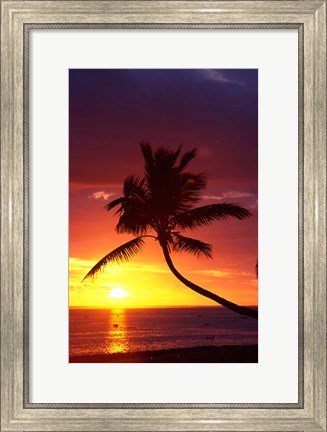 Framed Sunset and Palm Trees, Coral Coast, Viti Levu, Fiji Print