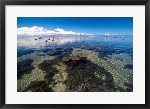 Framed Tourists and Starfish in Rock Pools, Tambua Sands Resort, Coral Coast, Fiji Print