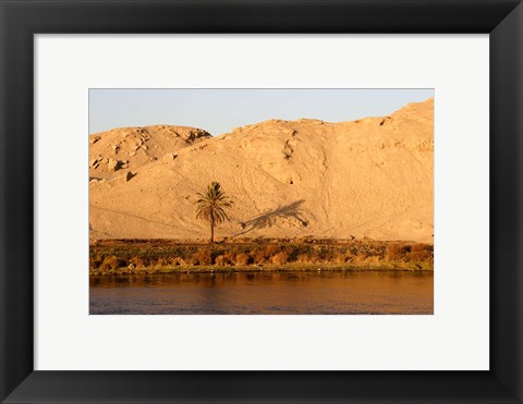 Framed Palm Tree on the Bank of the Nile River, Egypt Print