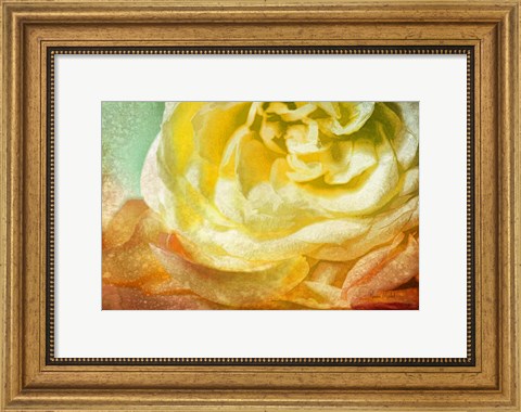 Framed Many Petals Print