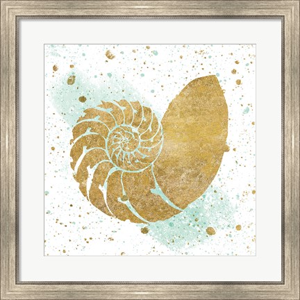 Framed Silver Sea Life Aqua Shell Print