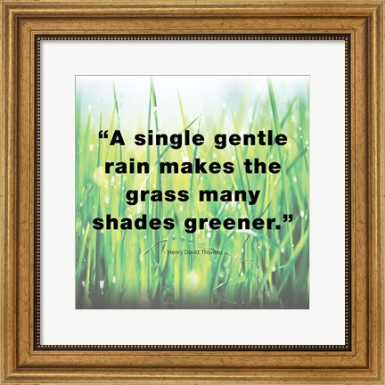 Framed Single Gentle Rain - Henry Thoreau Quote (Light) Print