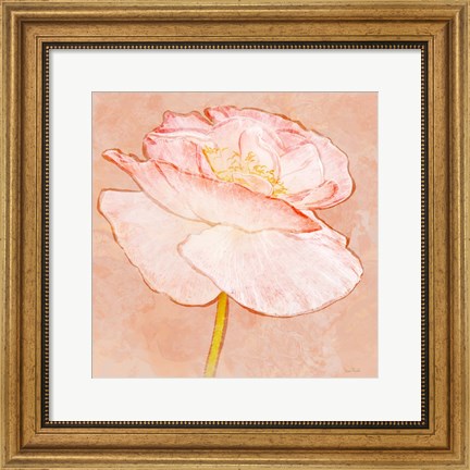 Framed Sweet Peach Poppy I Print