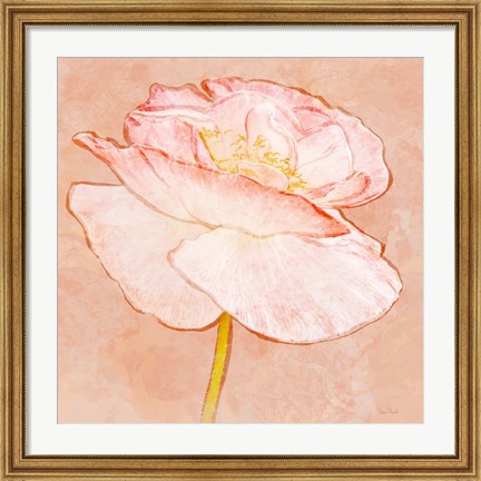 Framed Sweet Peach Poppy I Print